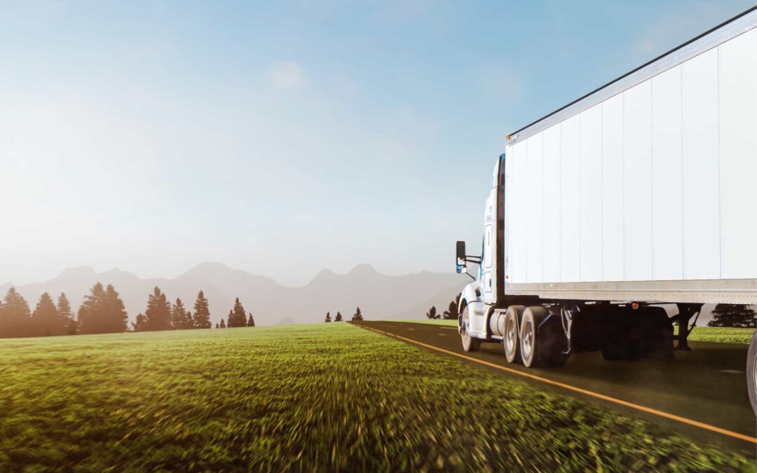 Crisis management strategies in logistics in times of crisis