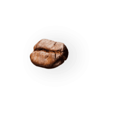 coffee-beans-P4MXYZD4@2x-223x224 (1)