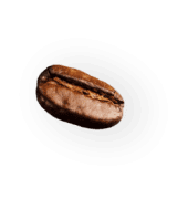coffee-beans-P4MXYZD7@2x-170x180